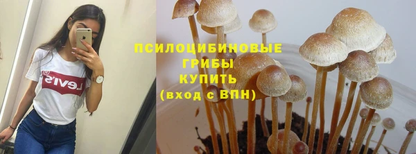 дурь Баксан