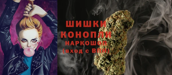 кокс Белокуриха