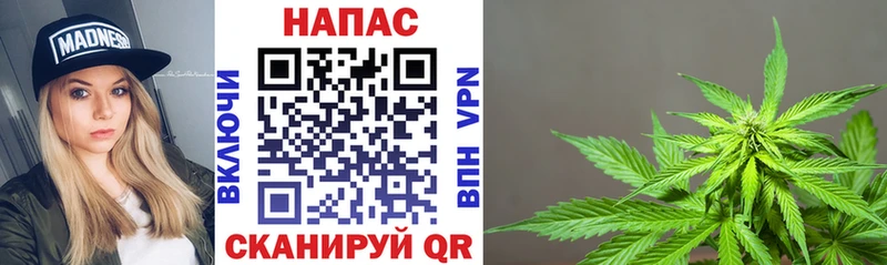 магазин    Первомайск  дарк нет наркотические препараты  Бошки марихуана сатива 